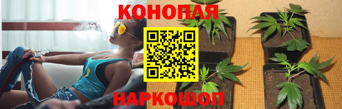 Марихуана тримм Лысьва
